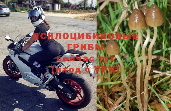 мяу мяу кристалл Кулебаки