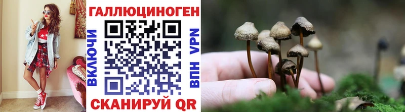 Галлюциногенные грибы мухоморы  Макарьев 