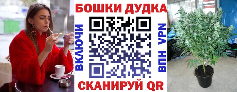 Каннабис SATIVA & INDICA  Макарьев 